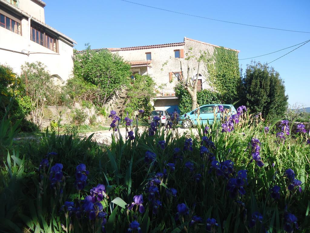La Colline Bleue Bed and Breakfast Banne Exteriör bild